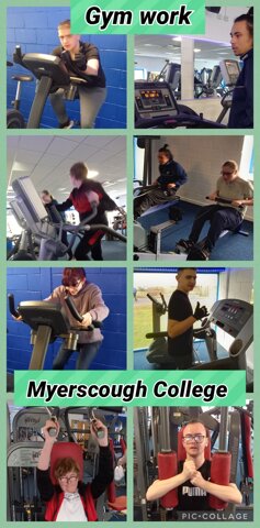 Image of Gym Work at Myerscough College 