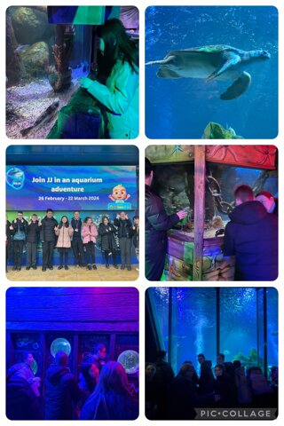 Image of Rewards Day- Sea Life Blackpool 1