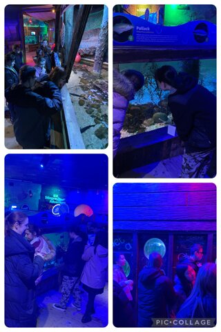 Image of Rewards Day- Sea Life Blackpool 4