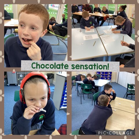 Image of Chocolate Sensation!