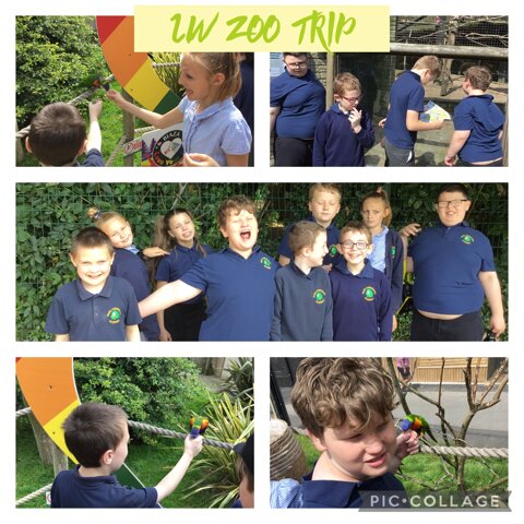 Image of 2W Zoo Trip