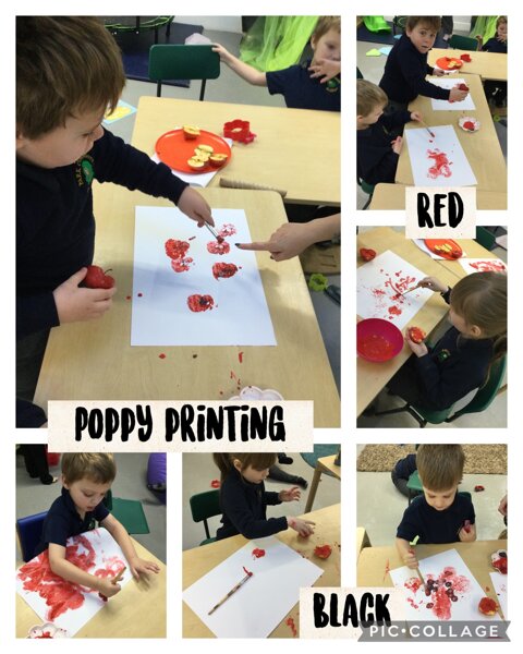 Image of Poppy printing 