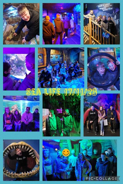 Image of Sealife Reward Trip