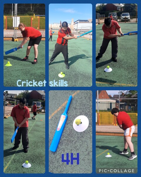 Image of Cricket skills