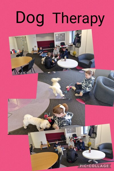 Image of 5M Having Therapy dog fun!