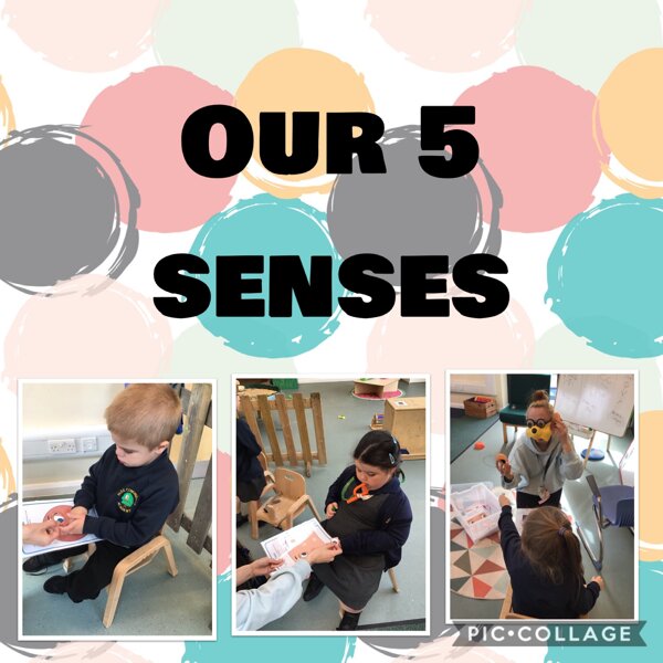 Image of Our 5 senses