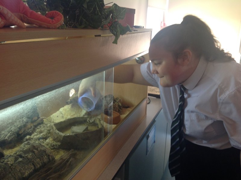 Animal Care | Park Community Academy