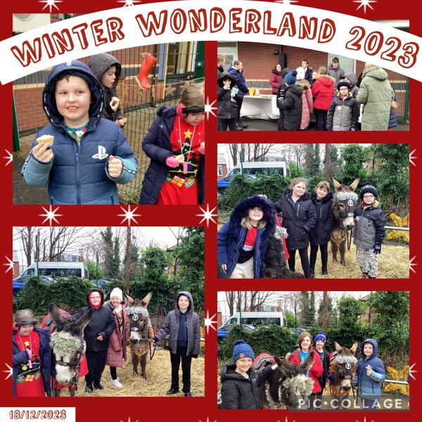 Image of Winter wonderland 2023