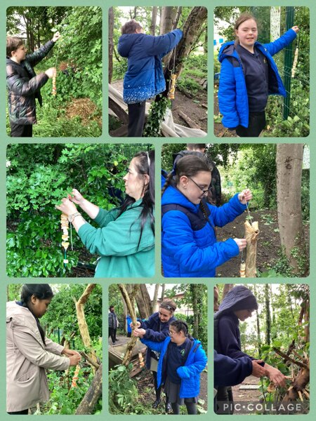 Image of Outdoor learning day