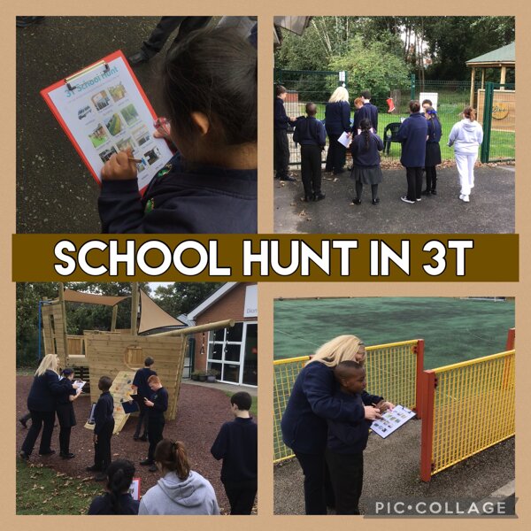 Image of School hunt 