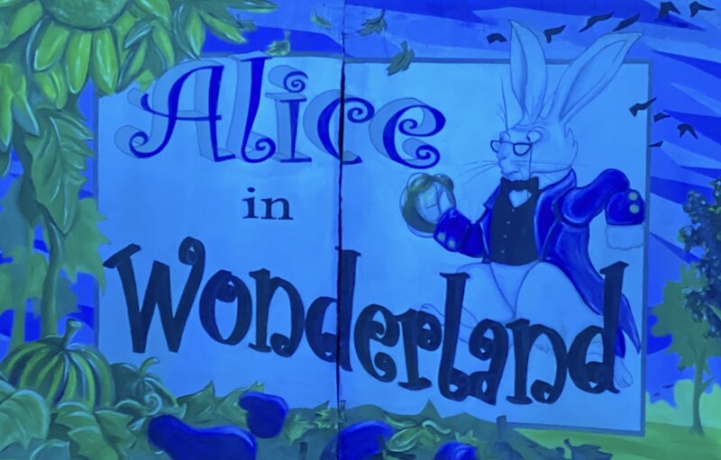 Image of Alice in Wonderland