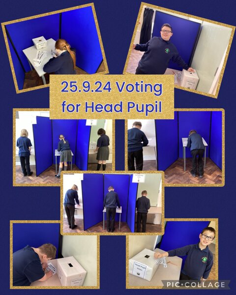 Image of 2G vote for Head Pupil