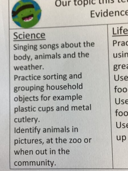 Image of Science - termly topic task