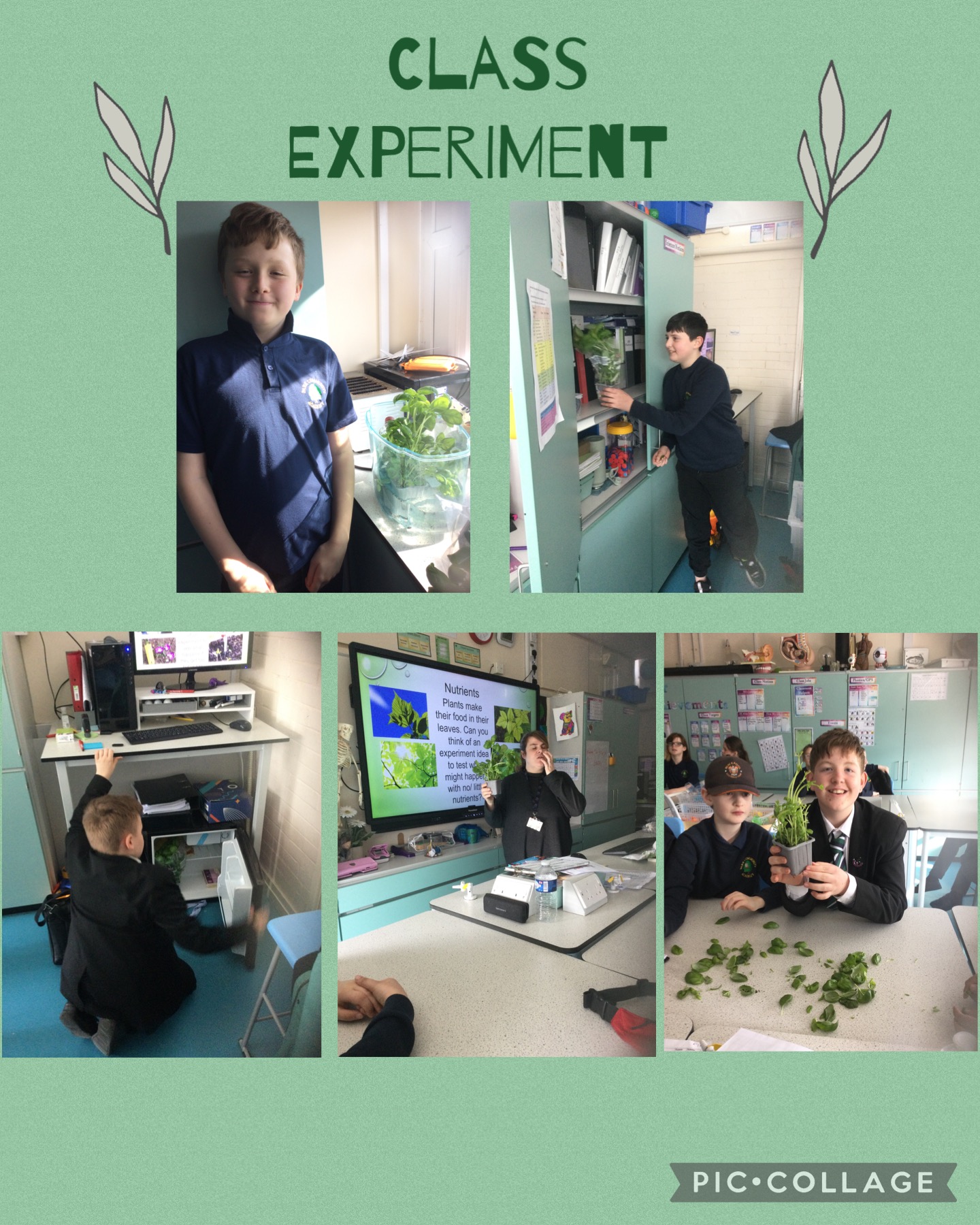 Image of Classroom Experiment