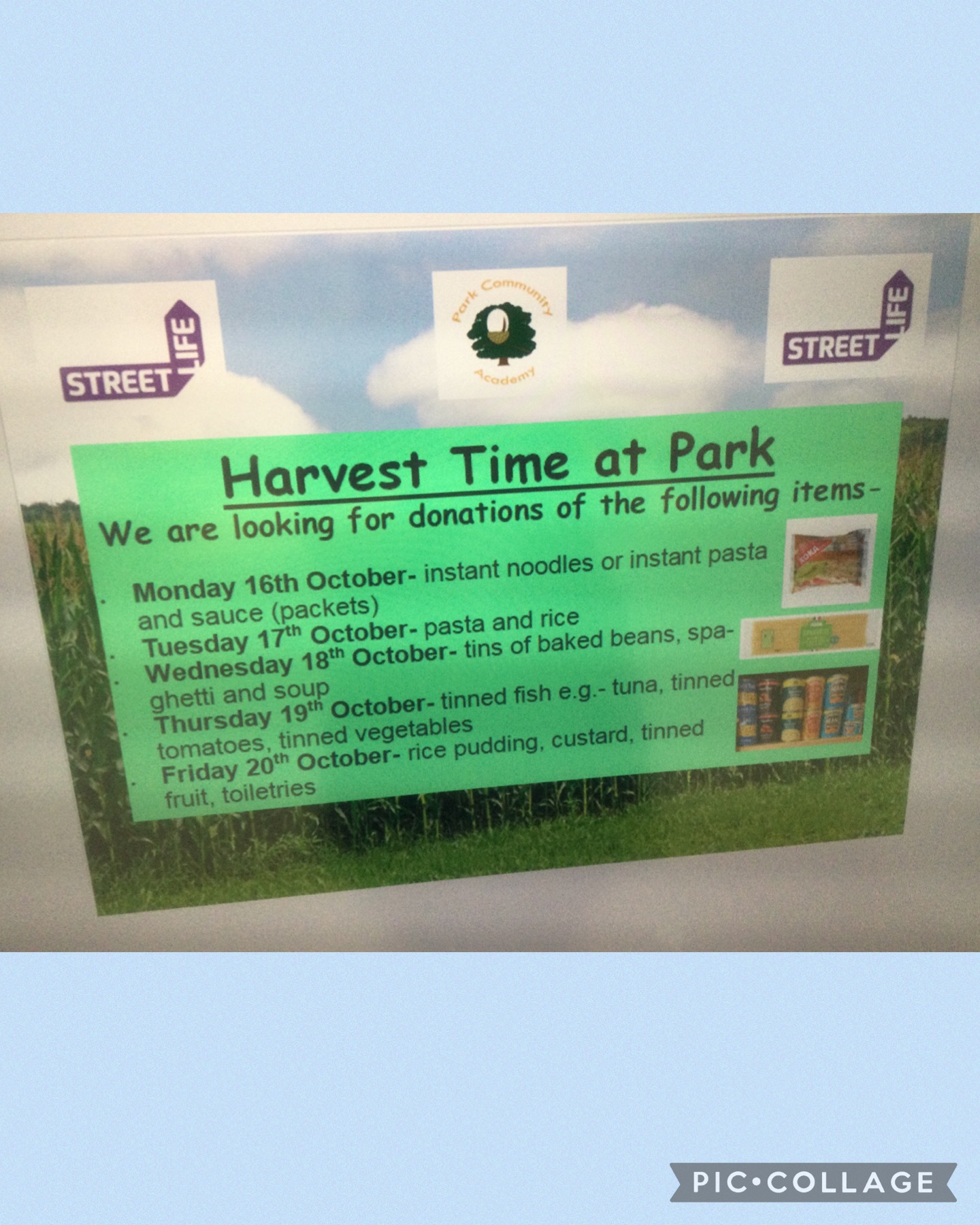 Image of Harvest Time at Park 