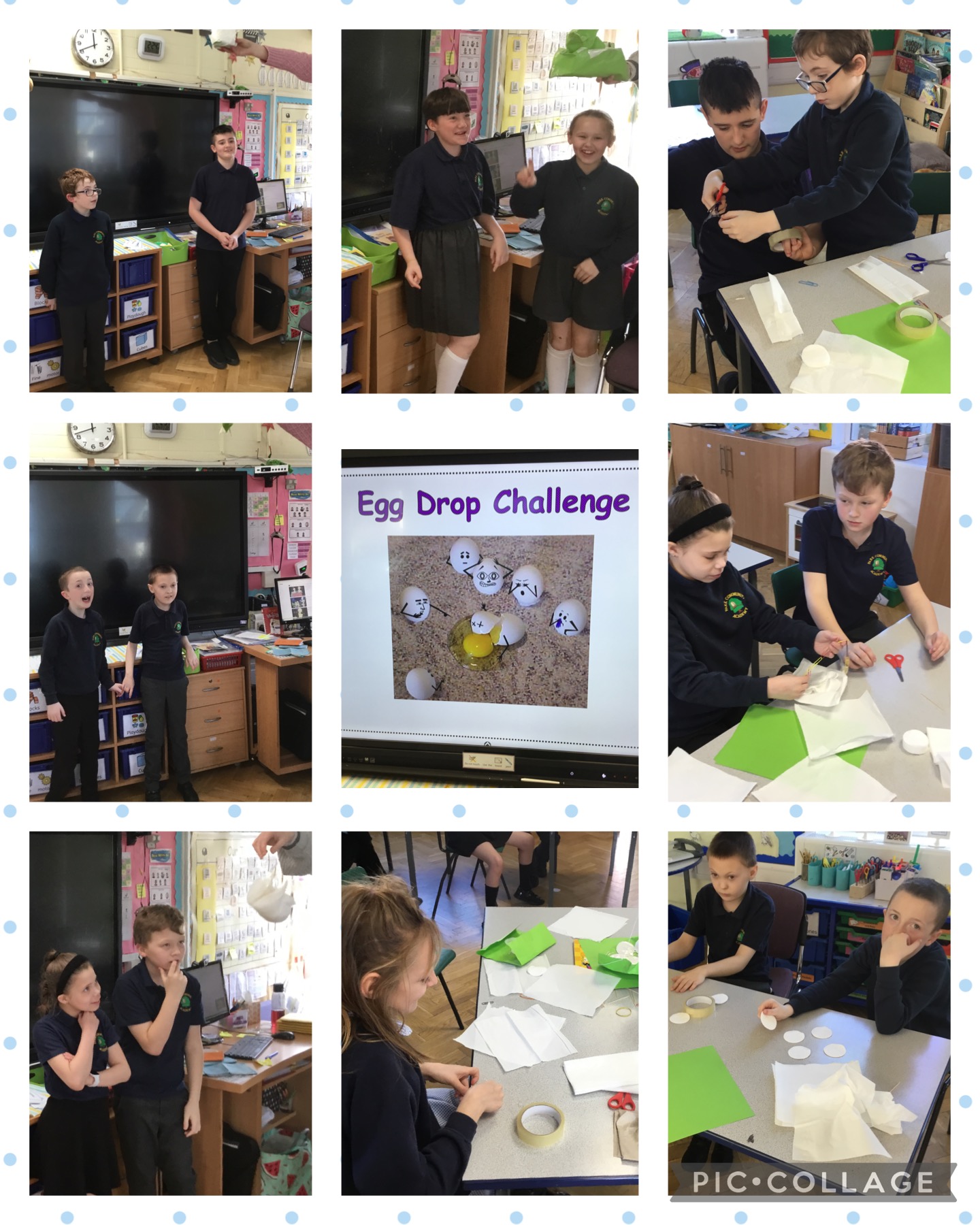 Image of Egg Drop Challenge