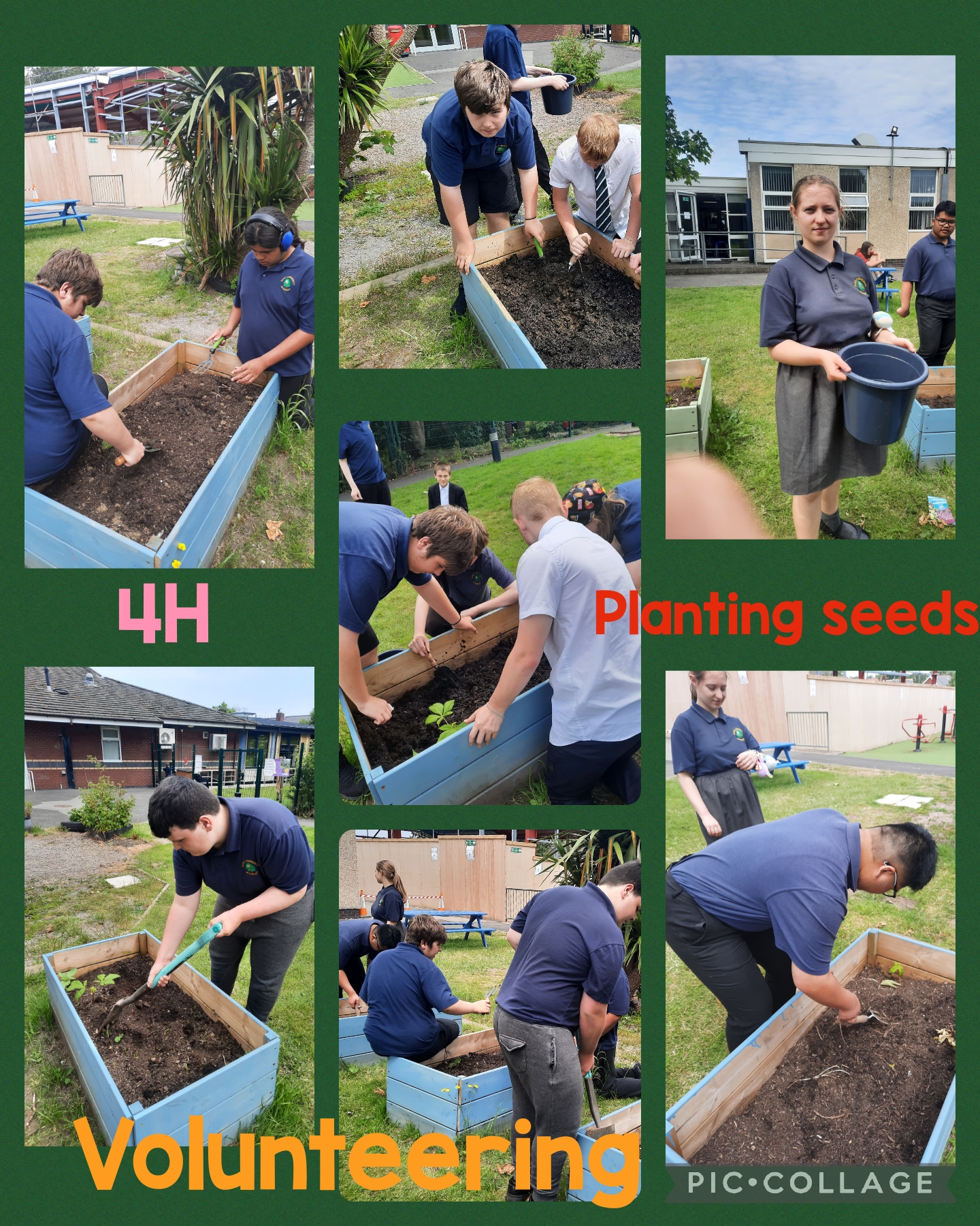 Image of Volunteering- Planting seeds