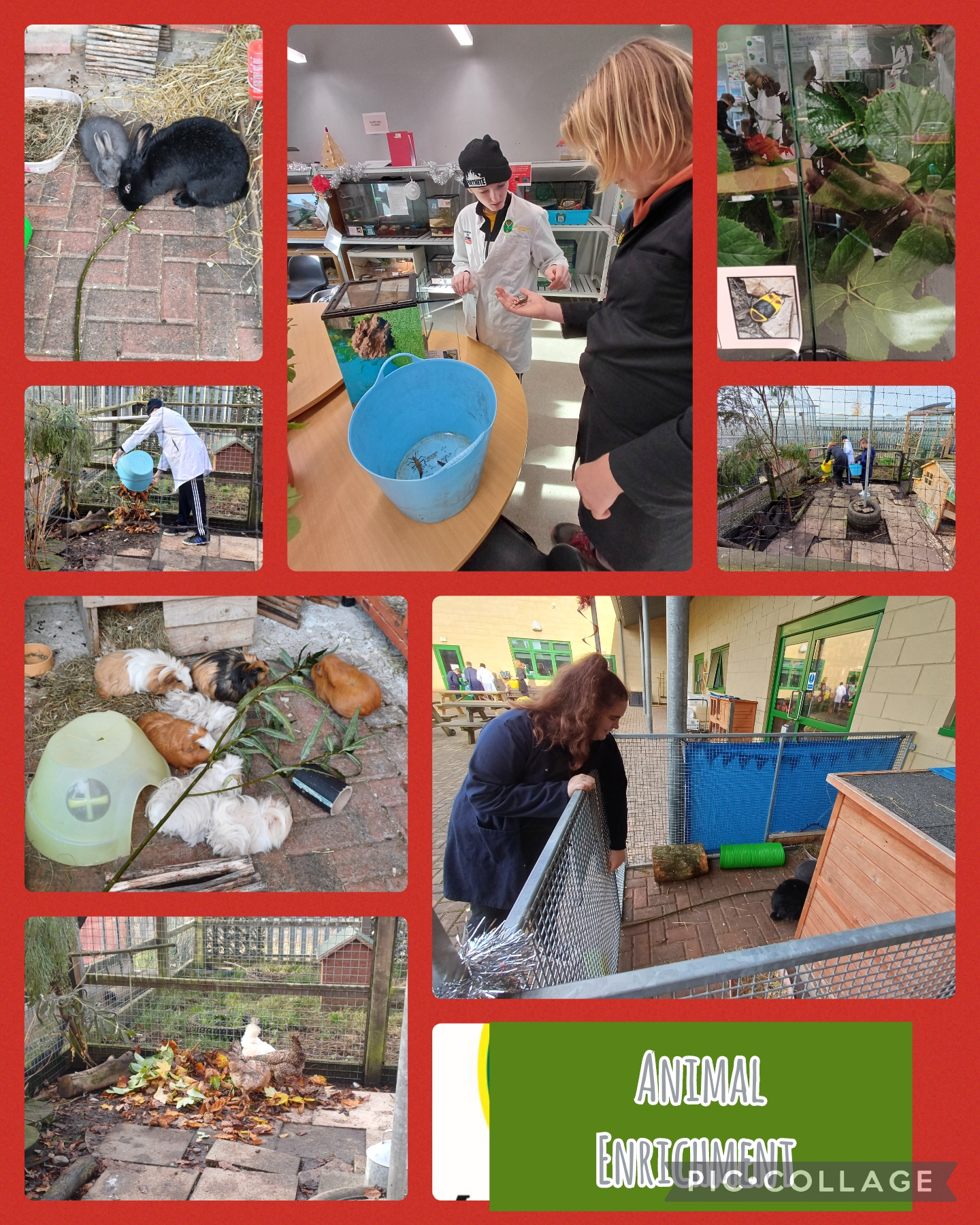 Image of Animal Enrichment at Myerscough College 