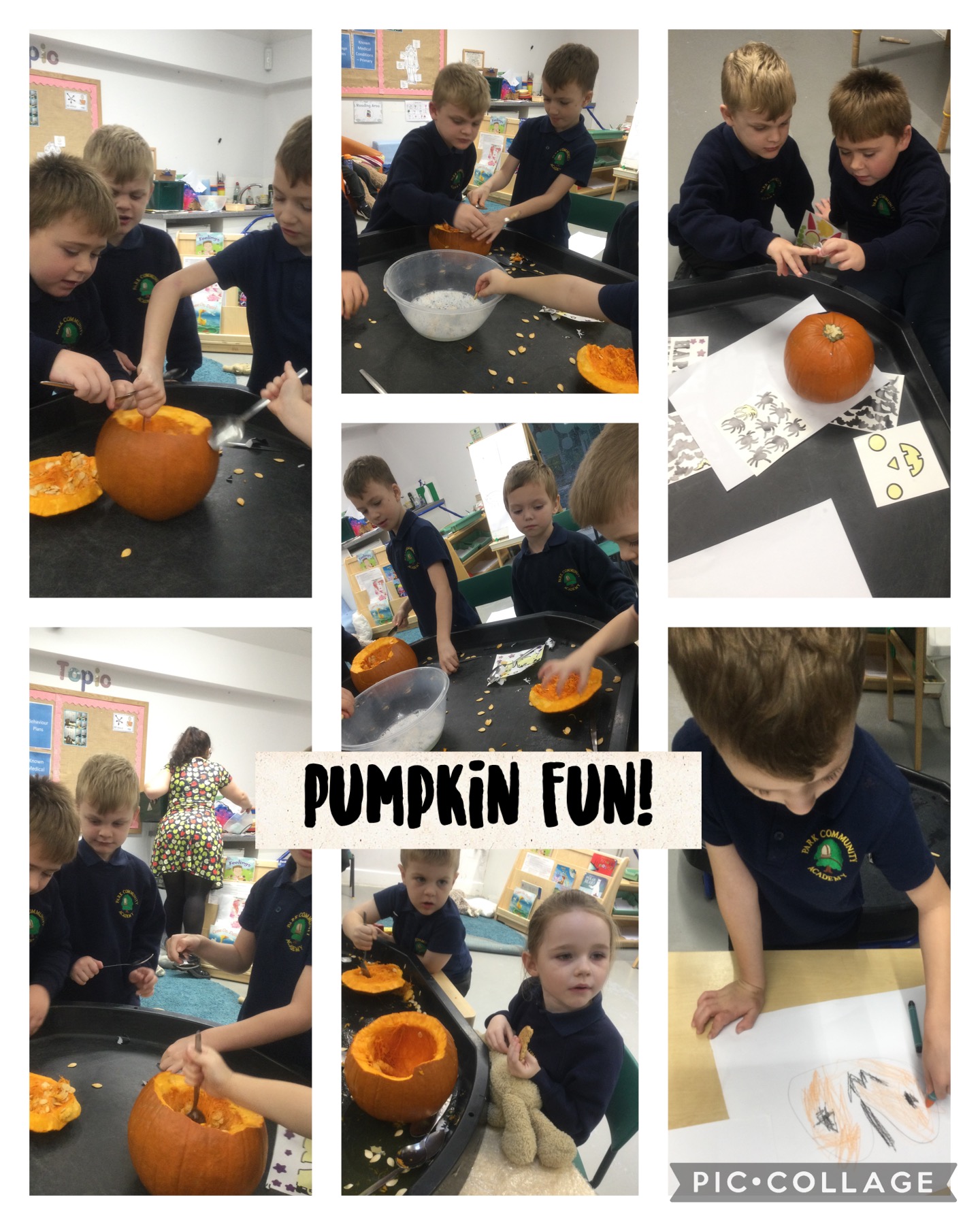 Image of Pumpkins 