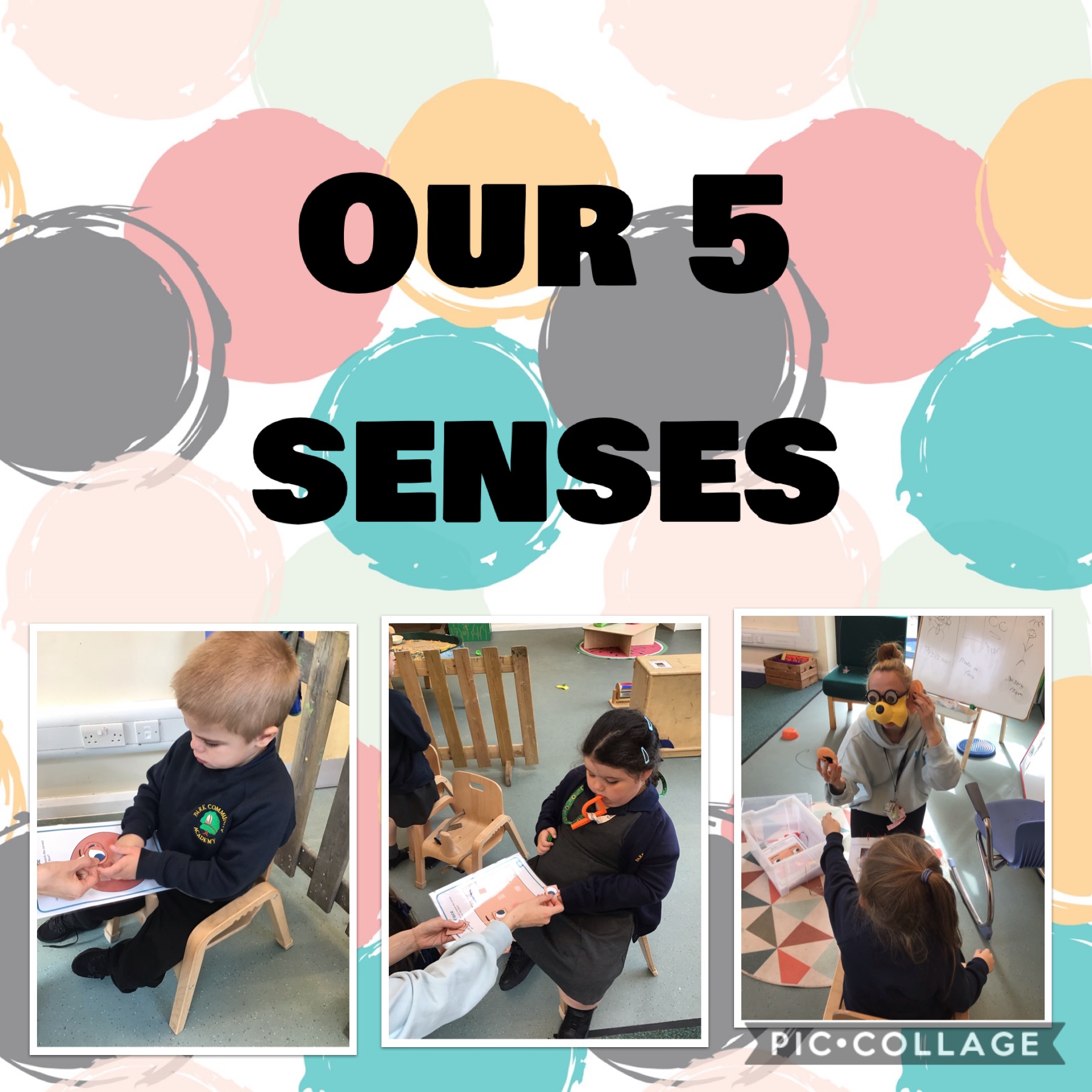 Image of Our 5 senses