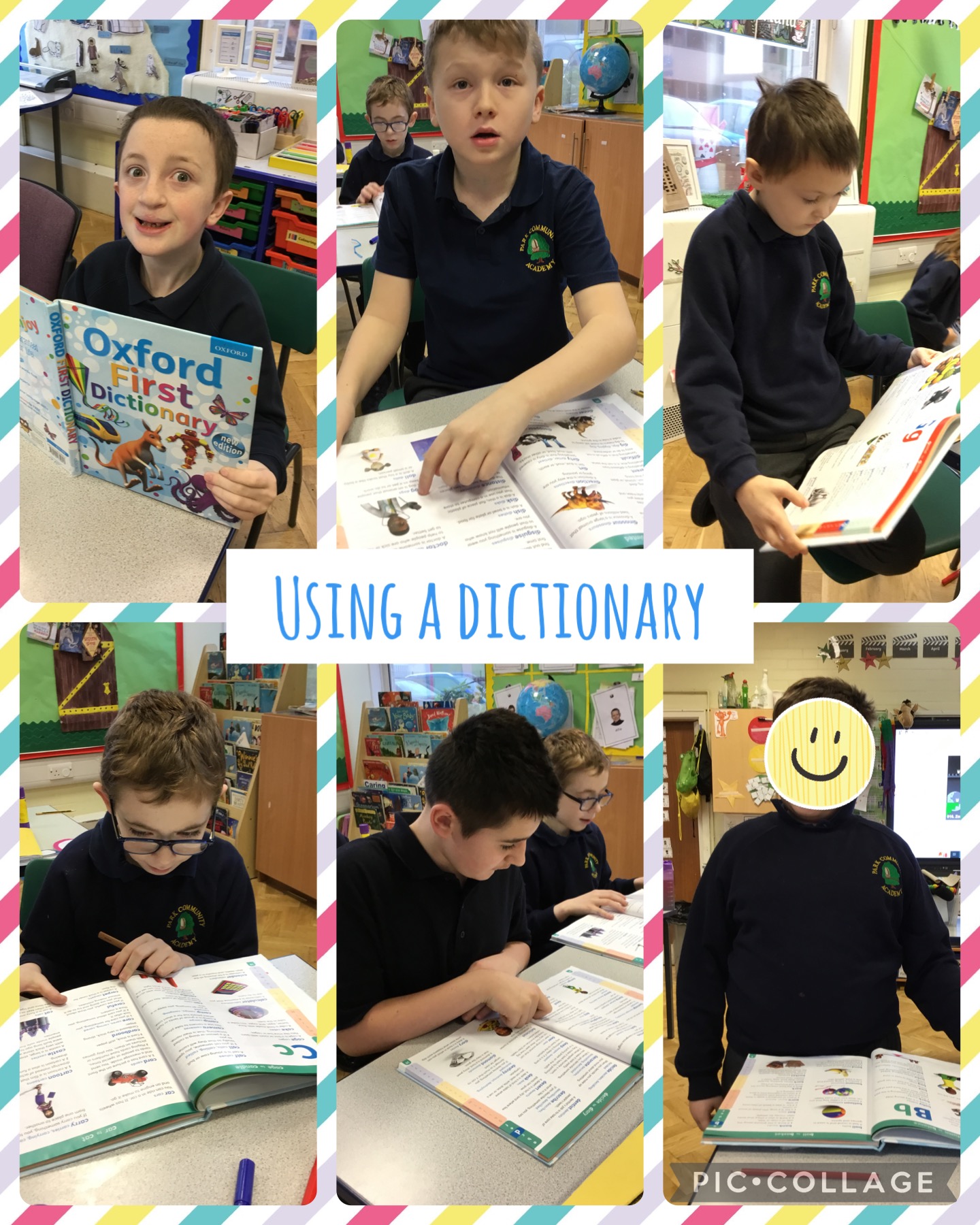 Image of Using a Dictionary 