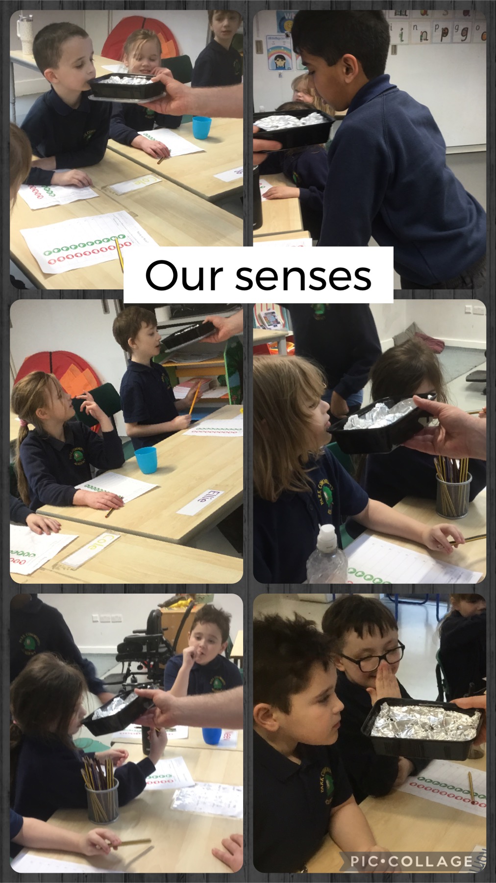 Image of Senses in Science 