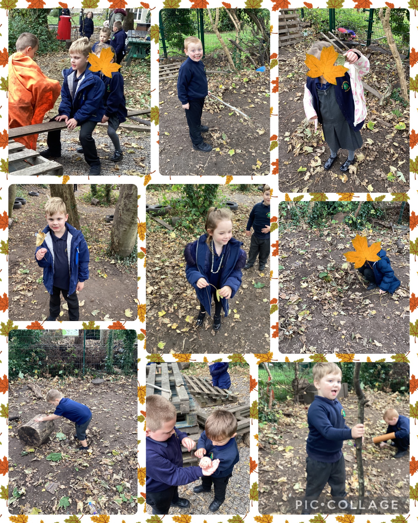 Image of 1H exploring the forest!