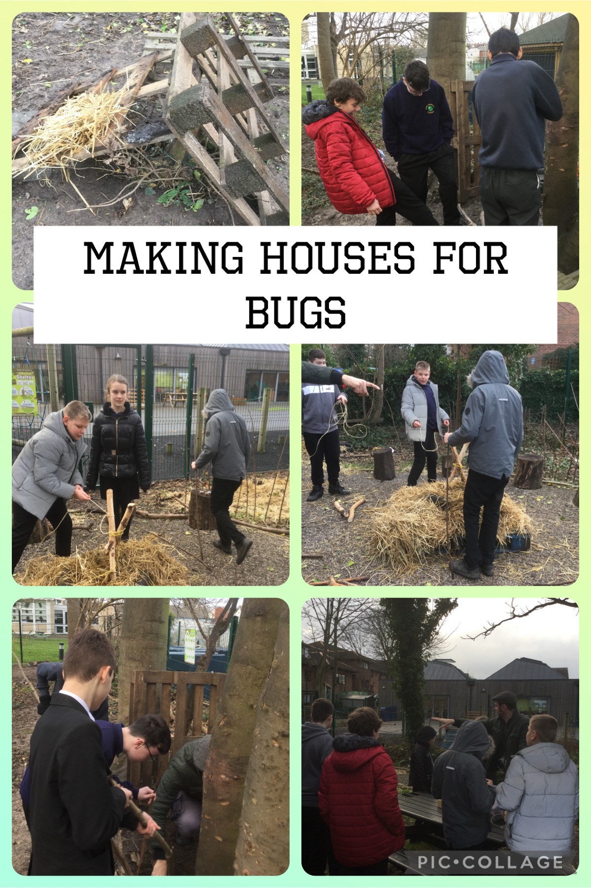 Image of Forest School