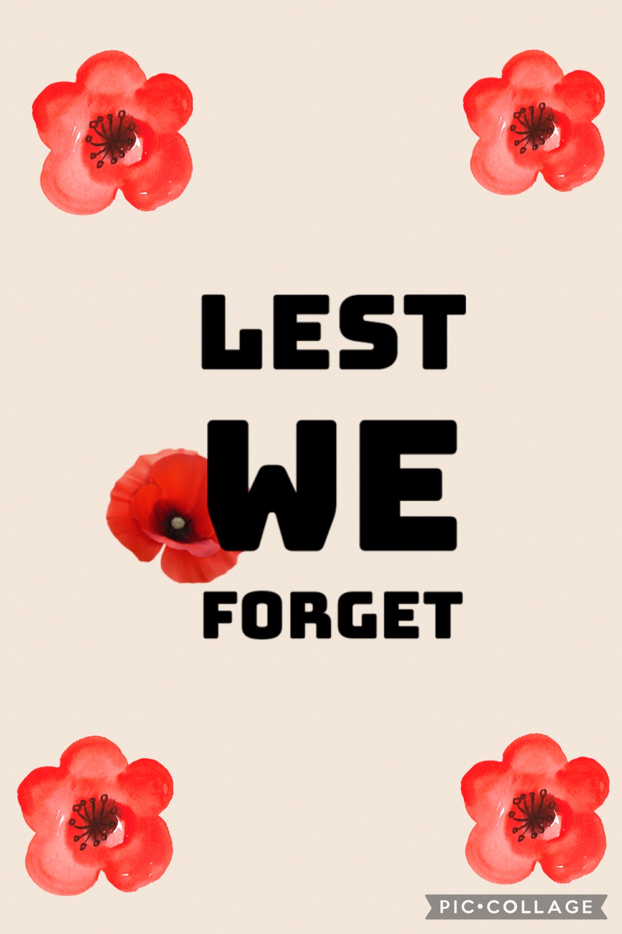 Image of Remembrance Day 