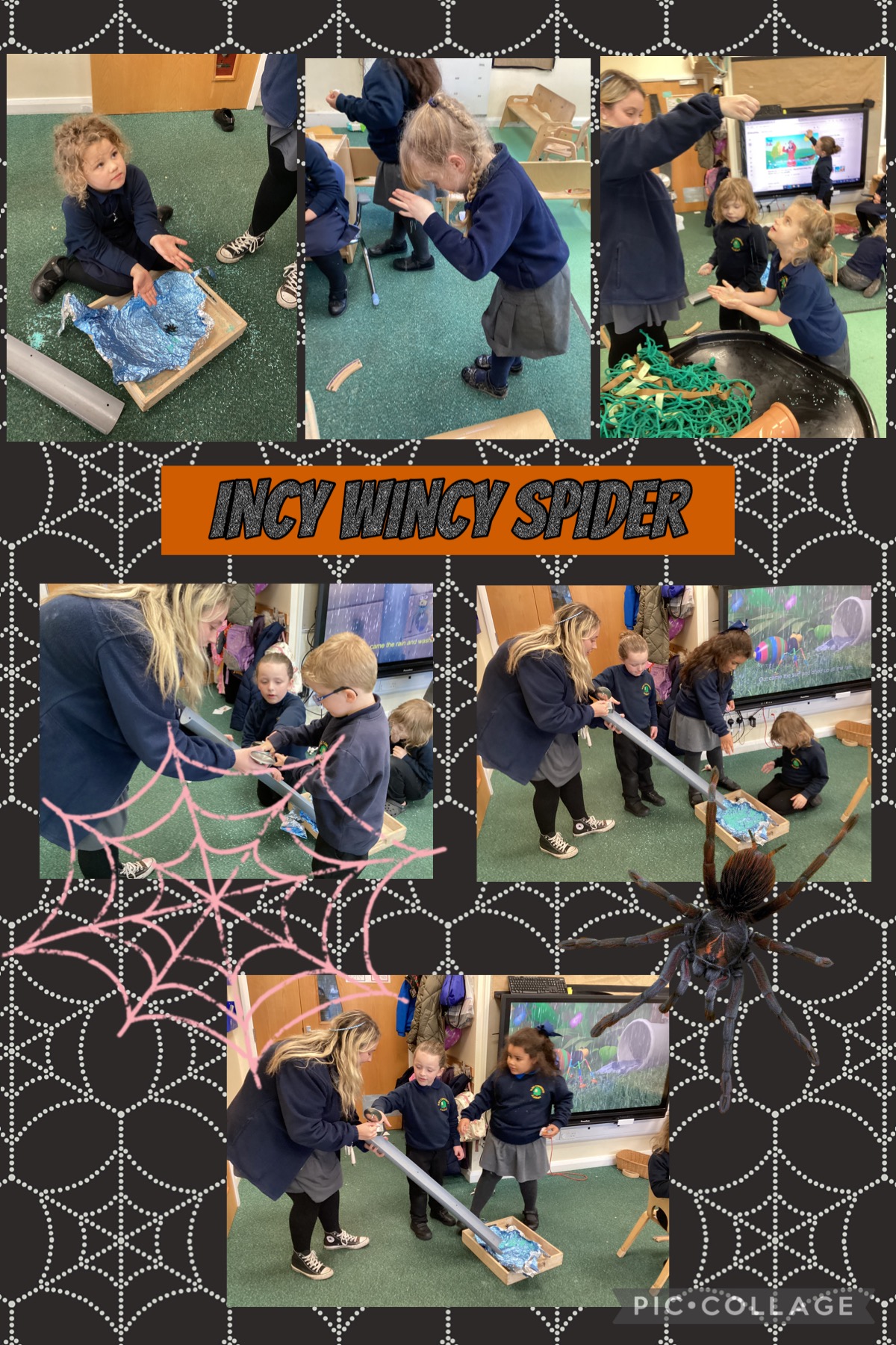 Image of Incy wincy spider 