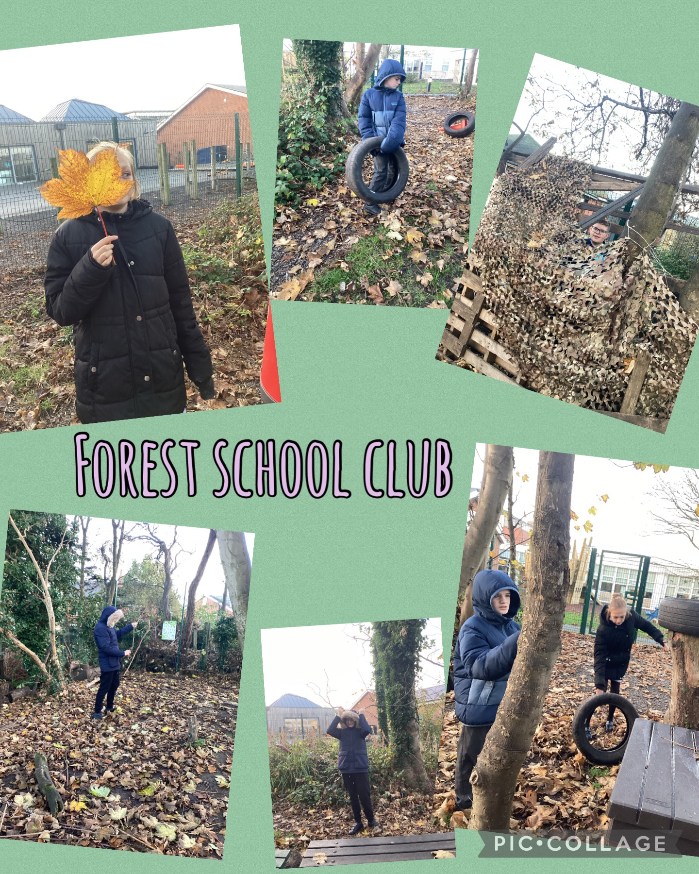 Image of Autumn fun in Forest School