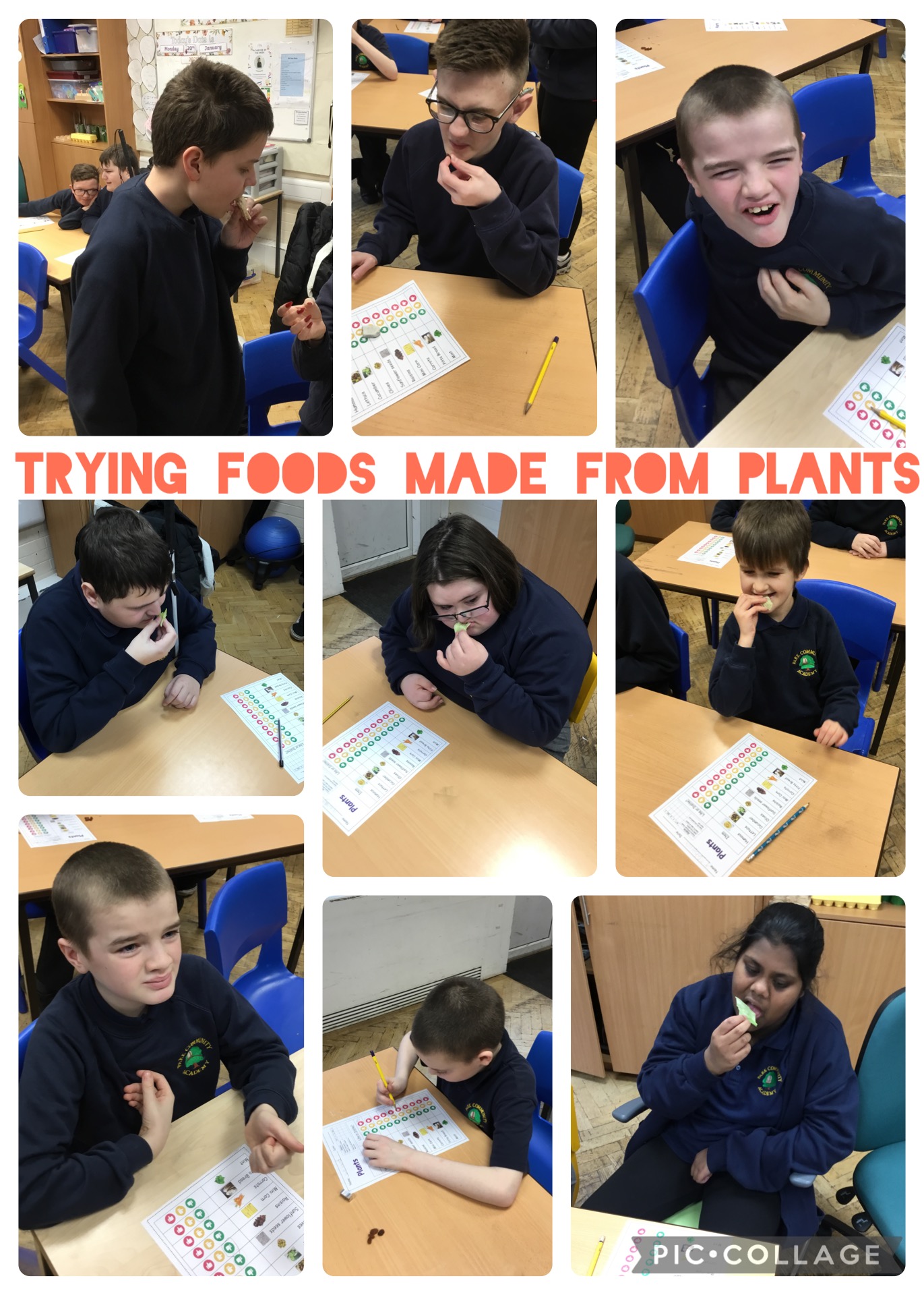 Image of Trying foods made from plants 