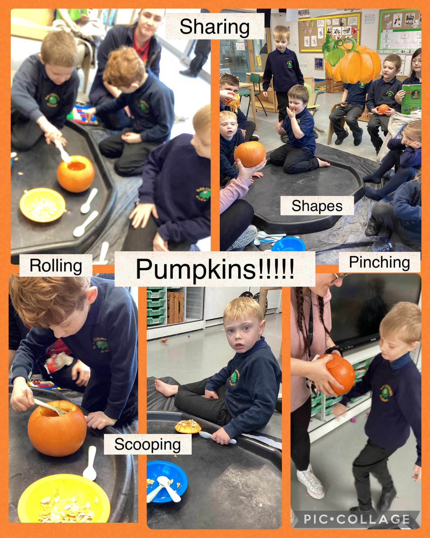 Image of Pumpkins 