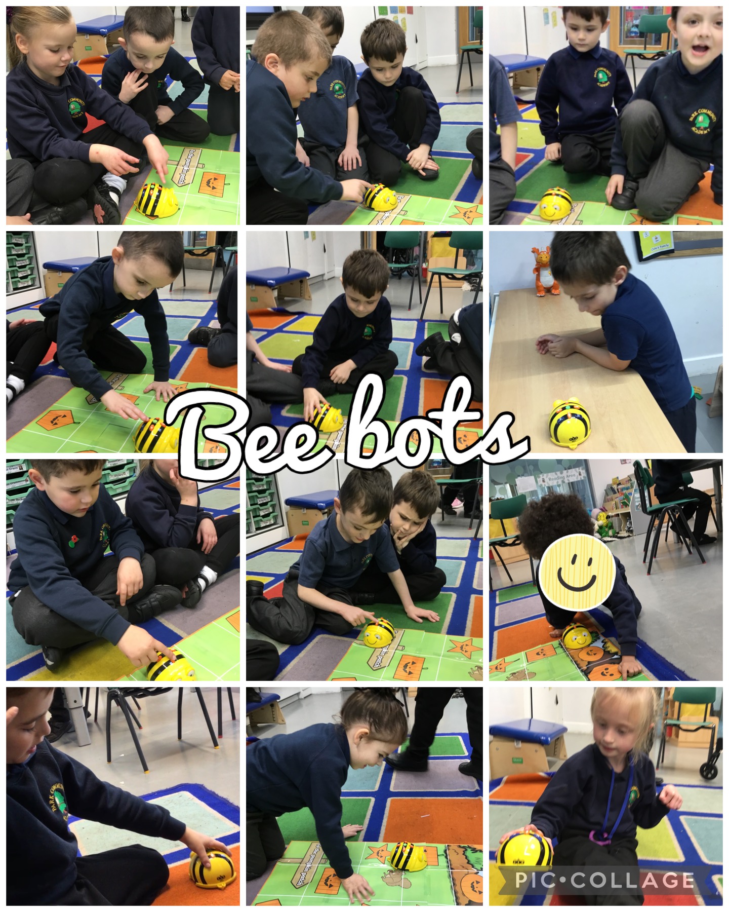 Image of Beebots