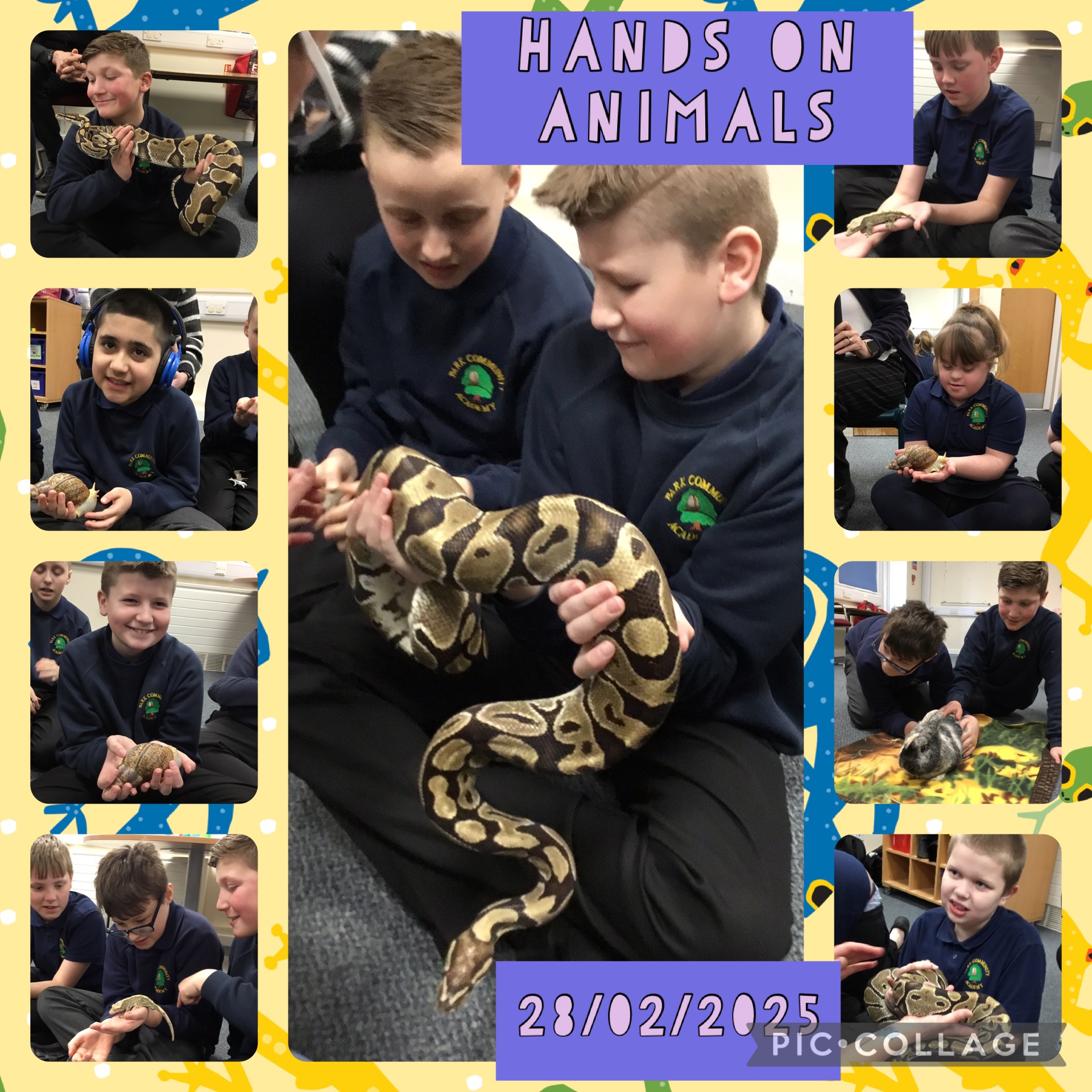 Image of Hands on animals!