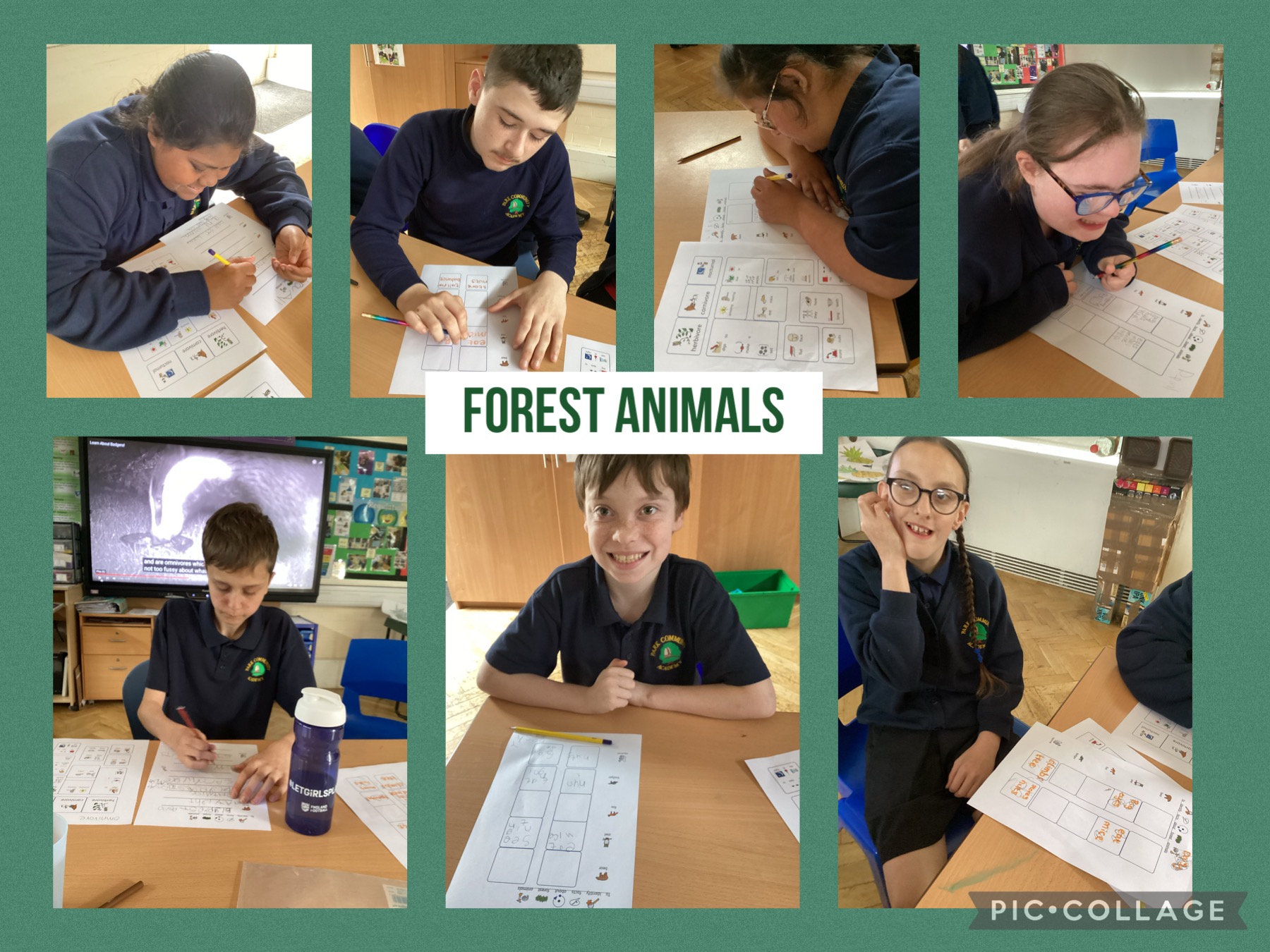 Image of Forest animals