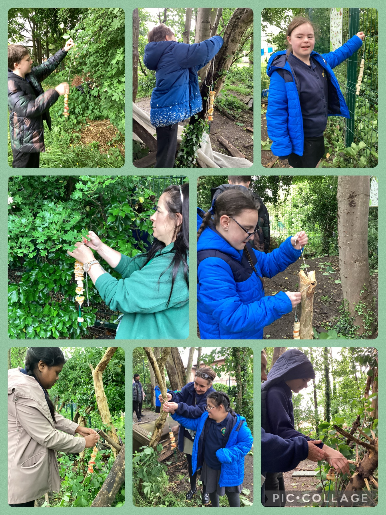 Image of Outdoor learning day