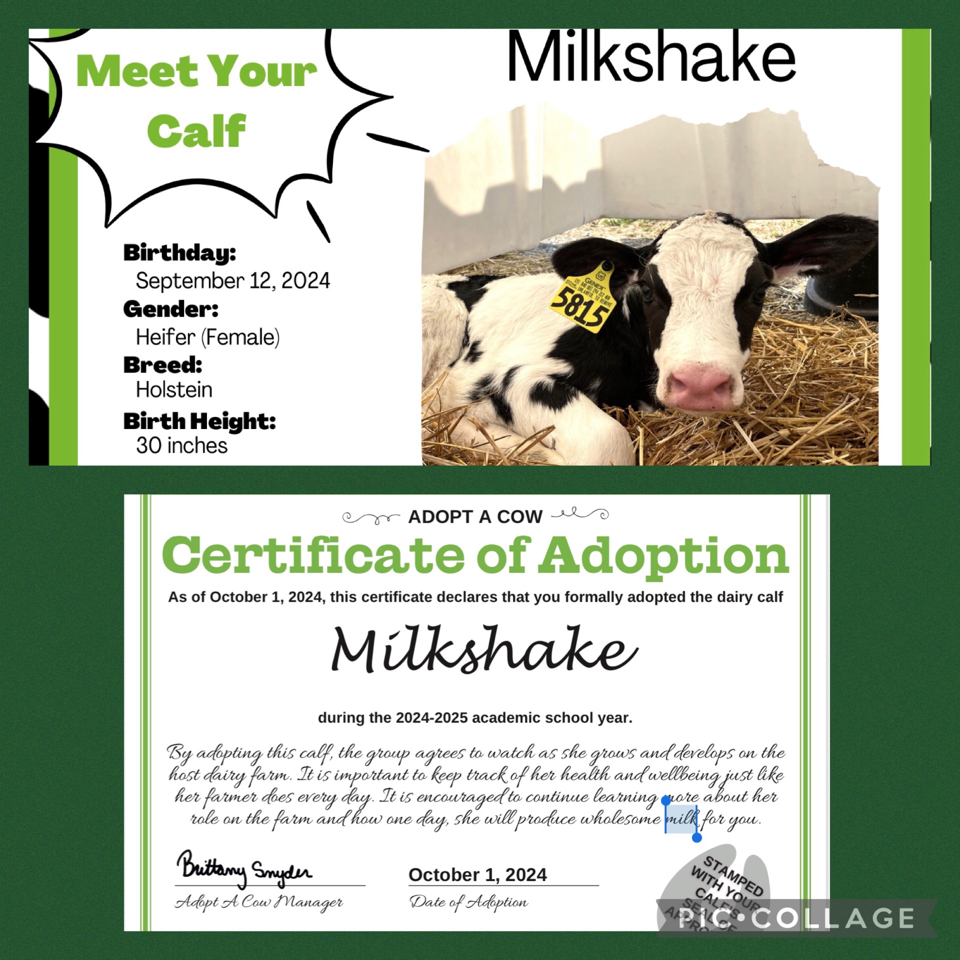 Image of 3J adopted a cow!