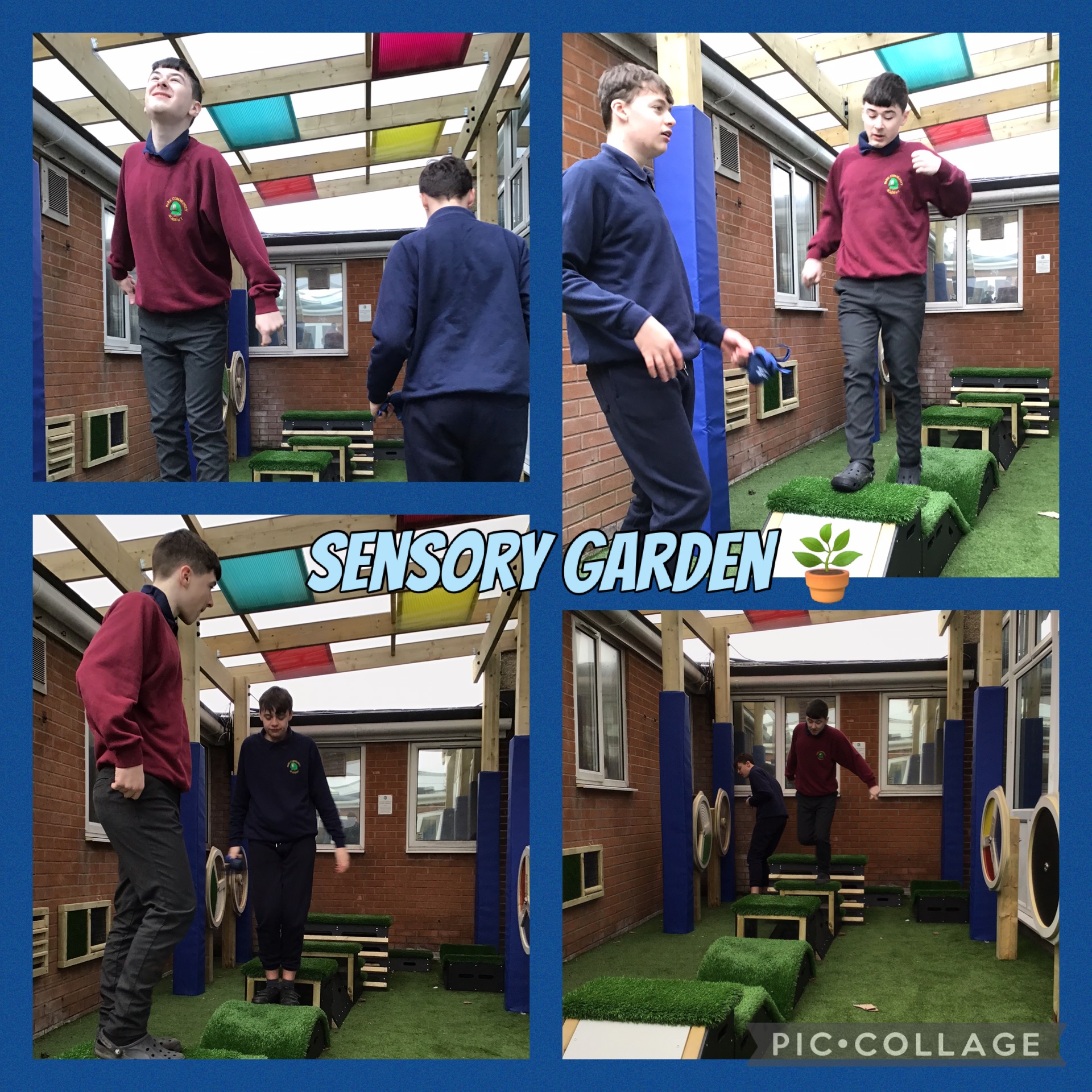 Image of Sensory garden 