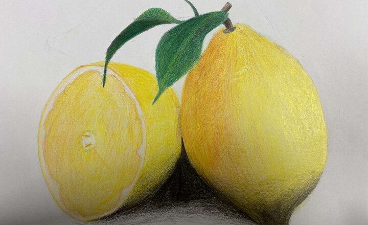 Image of Year 9 art colouration with pencil crayon