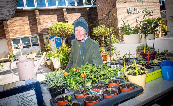 Image of Mr Farron's Compost Corner - Spring Update