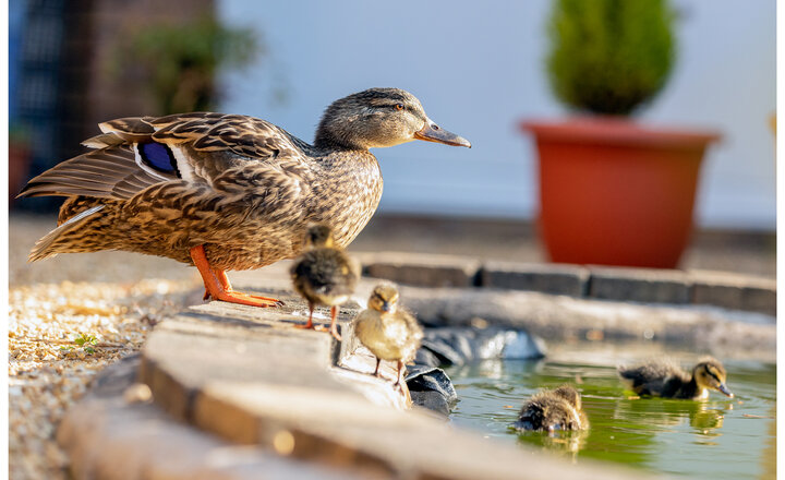 Image of New family enrol at Priory