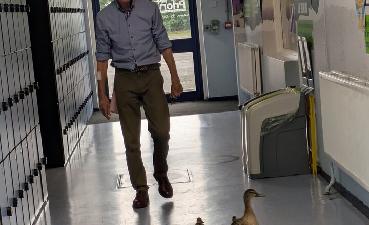 Image of Feathered Guests Prepare for Their Next Journey