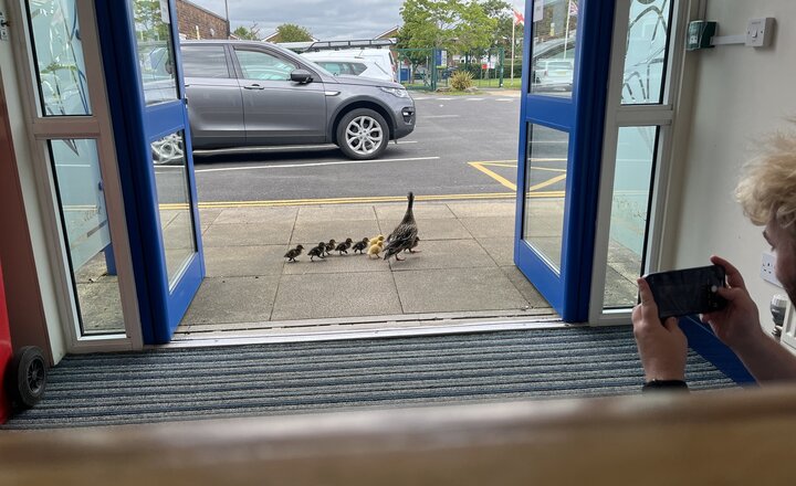 Image of Late Admissions Accepted on Appeal