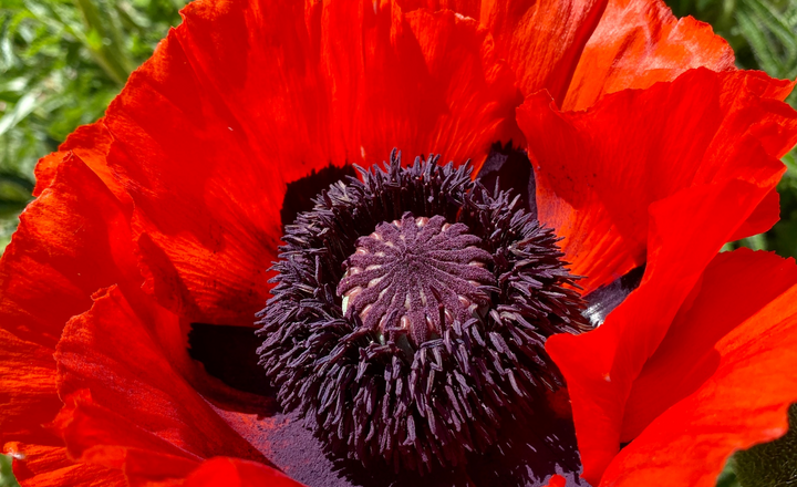 Image of A classroom with a view