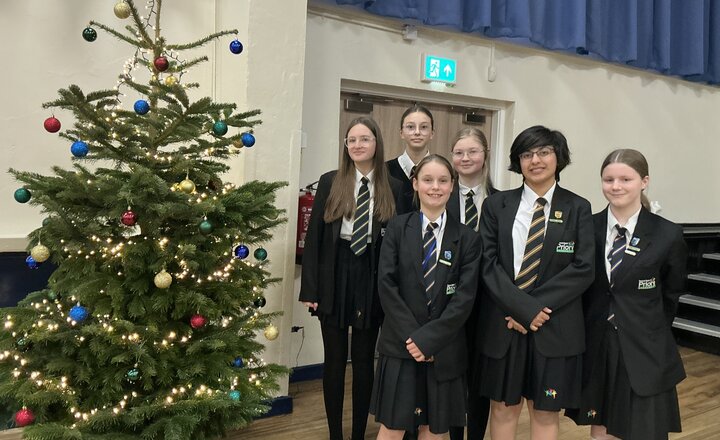 Image of Oh Christmas Tree...