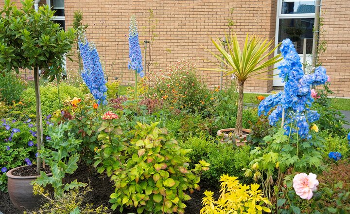 Image of And not forgetting our gardens