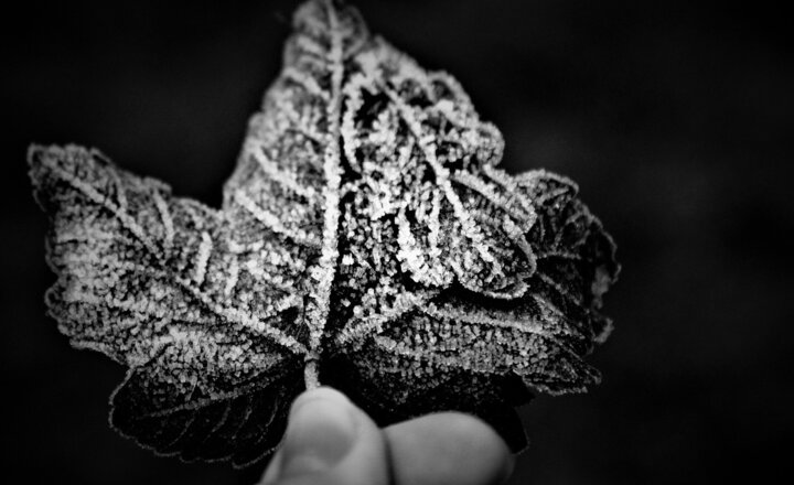 Image of It's back: Priory's photo competition