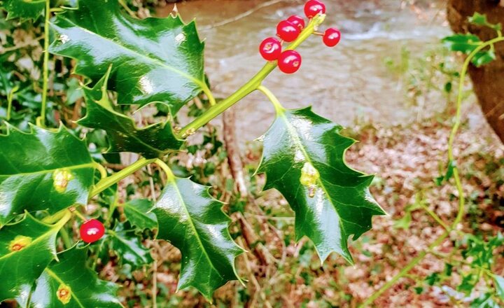 Image of Photo competition - week 2