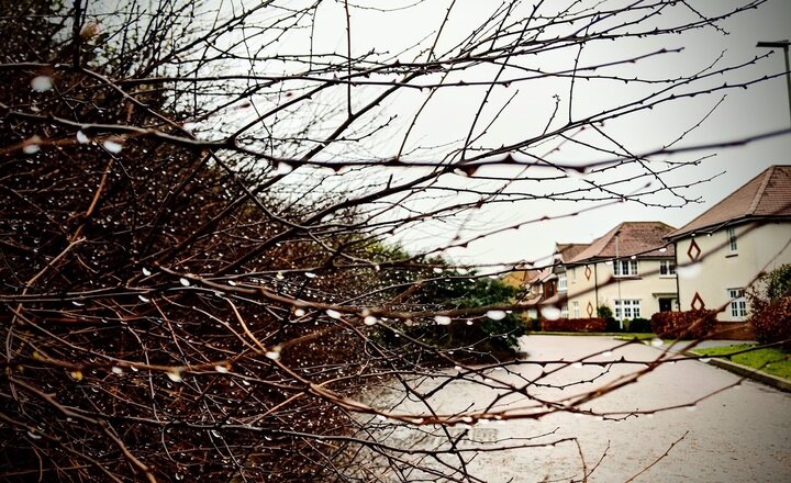 Image of Photo competition - week 3